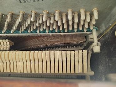 gitara akustik: Piano, Belarus, Akustik, İşlənmiş, Ünvandan götürmə — 3