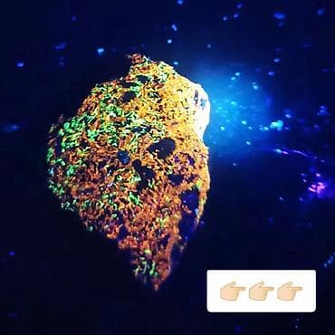 sxsi gul qablari: Premium səviyyədə Nadir Kristal 💎 UV Unikal Floresans və Tester — 4