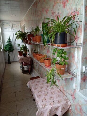 9 ci mikrorayon satilan evler: Bakı, 2 otaqlı, Köhnə tikili, m. Xalqlar Dostluğu, 50 kv. m — 11