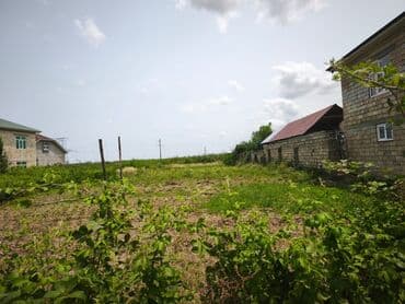 obyekt ucun torpaq: 9 sot, Tikinti, Mülkiyyətçi, Kupça (Çıxarış) — 2