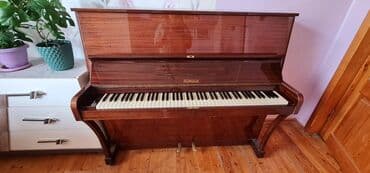 Аккордеоны: Пианино, Rönisch, Акустический — 5