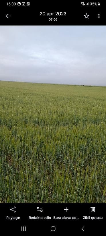 Qarajlar: Kənd təsərrüfatı — 2