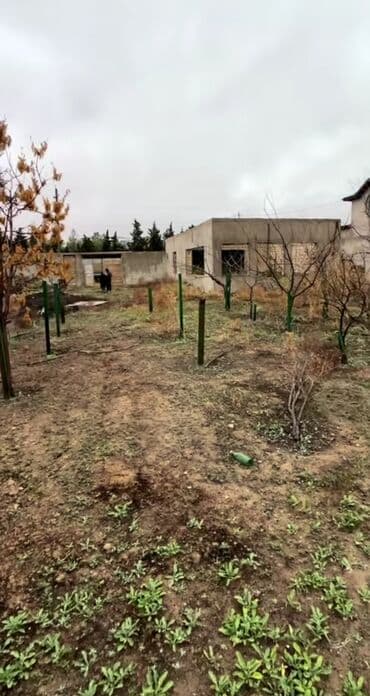 qəbələdə torpaq alqı satqısı: 12 sot, Mülkiyyətçi, Kupça (Çıxarış) — 1