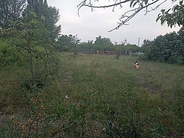 icareye meyve terevez dukani: 15 sot, Kənd təsərrüfatı — 4