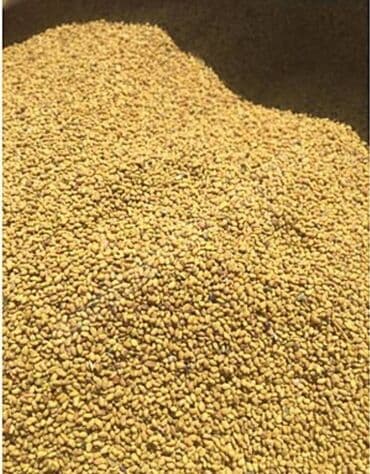 Quruducular: Yonca toxumu — 1