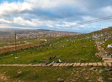 Daşınmaz əmlak: 11 sot, Tikinti, Mülkiyyətçi, Bələdiyyə — 6