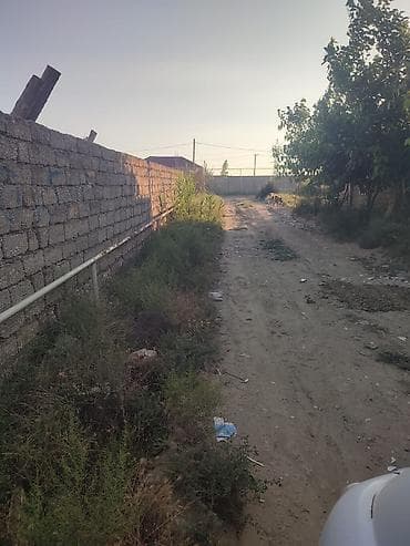 məhəmməd: Mehemmedli qesebesi zeytun bagiyla uzbe uz 8 soot kupcali torpaq — 9