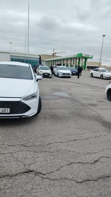 byd qin plus: BYD Qin Plus: 1.5 l | 2024 il 40000 km Sedan — 4