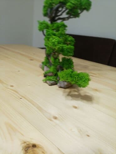 qizil destleri 2021: Təbii mamır və ağacdan hazırladığım bonzay agaci.hədiyyə üçün — 6