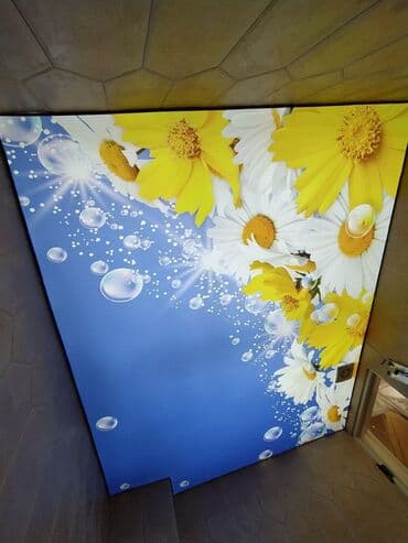 Yeni növ dartma tavanlar işıqlı modeler Sadə modeleride var