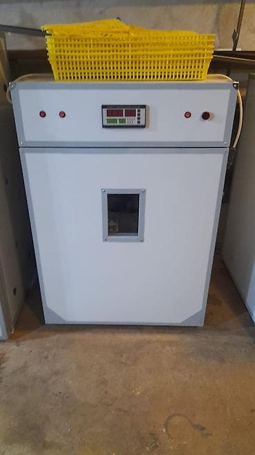 İnkubatorlar: Azərbaycanda inkubator Aparatlarinin Rəsmi satiş mərkəzi Rasif — 7