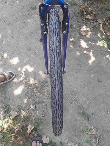 velo brend: Vesbet kamir patska teze alif qomsam hec bir prablem yoxdu skrosnodu — 6