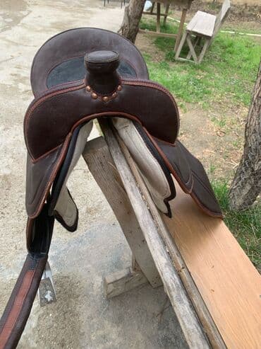 azərbaycan it adları: Yeher satilir — 5