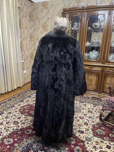 şinşila şuba: Şuba — 5