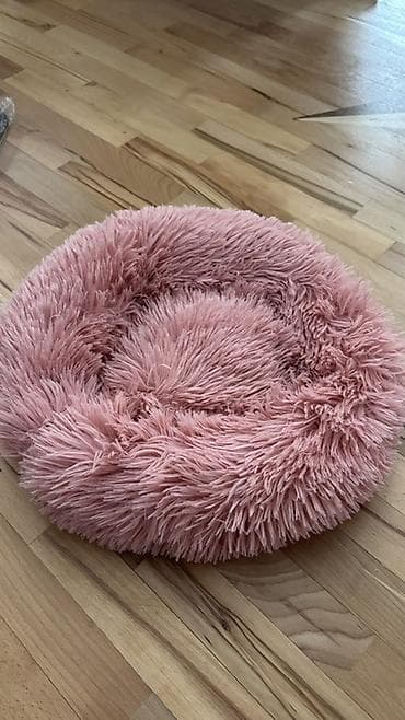 itler tap az: Yumuşaq, tüklü ev heyvanı yatağı – yuvarlaq forma, toz-çəhrayı rəng. - — 1