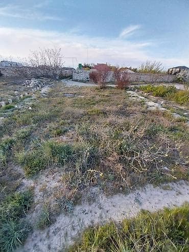 3 sot, Tikinti, Mülkiyyətçi, Kupça (Çıxarış)