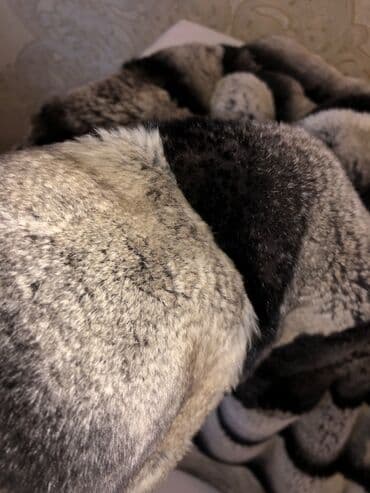 Рубашки и блузы: Temiz dovşan xezi. Çox yüngül və isti saxlayır. Razmer SM. Qiymət 350 — 3