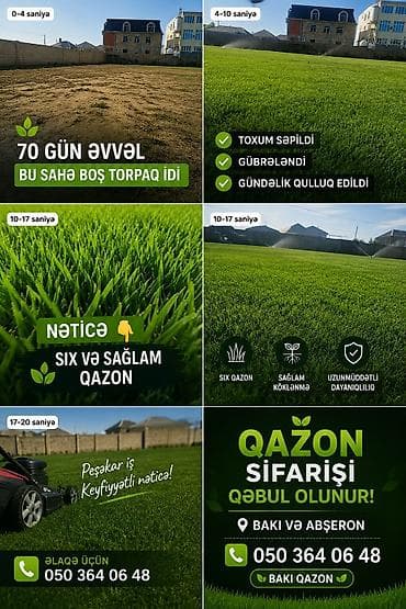 landşaft dizayn: Təbii hazır qazon – həyətinizi bir neçə saata yaşıl cənnətə çevirən — 2
