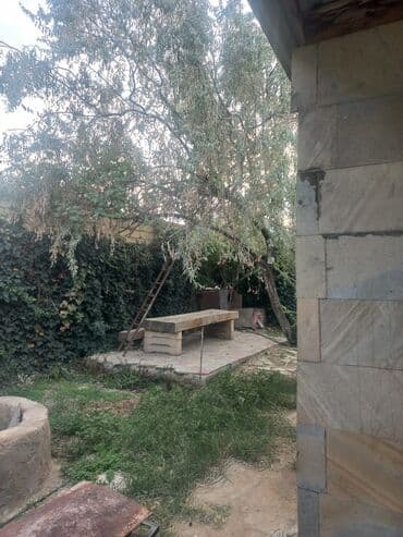 1 комнатные квартиры в баку новостройка: Yaşıl həyətli fərdi ev sahəsi 6 sot torpaq1 sot ev,2 otağ hazır — 3