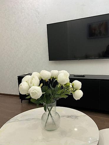 luks home: İcarəyə verilir 2 otaqlı yeni tikili 70 m², Nərimanov r. Kateqoriya — 4
