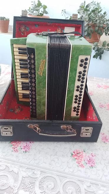 Акустический Аккордеон, Б/у — 4