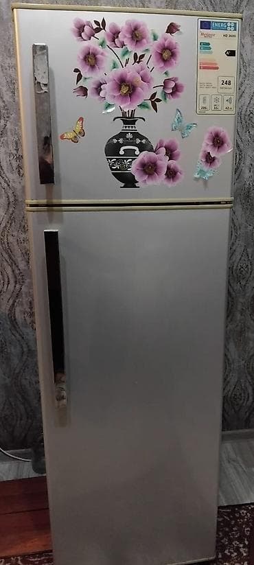 dubay iphone 15: 2 qapılı Elatus Soyuducu Satılır — 1