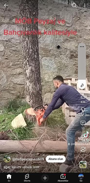 tra: Mən matapila drujba ilə quru ağac və taxtaları sifarişlə kəsirəm TAXTA — 4