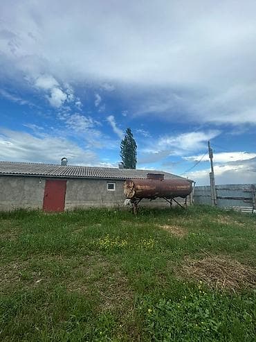 qusar torpaq: 20 sot, Biznes üçün, Mülkiyyətçi, Kupça (Çıxarış) — 3