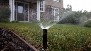 алоэ вера купить: PRIZMA – damla sulama və peyzaj suvarma sistemləri Xidmətin məzmunu — 17