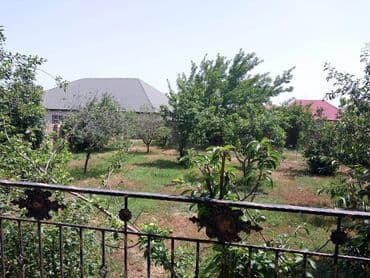 ramanada evler: Bakı, Novxanı, 230 kv. m, 6 otaqlı, Hovuzlu, Kanalizasiya, Qaz, Su — 6