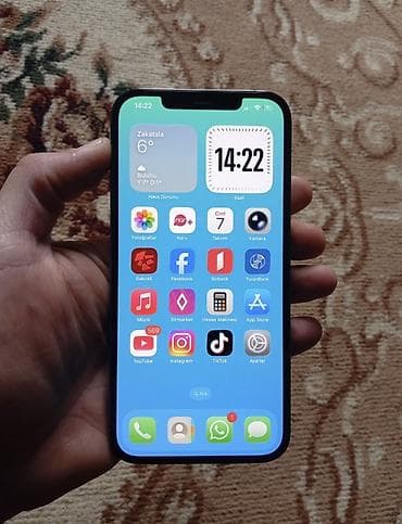 IPhone 12 Pro Max, 256 GB, Graphite