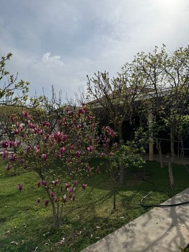 купить бак для воды: Novxanıda, Görədil dəmir yolu stansiyasına piyada 10-15 dəqiqəlik — 26