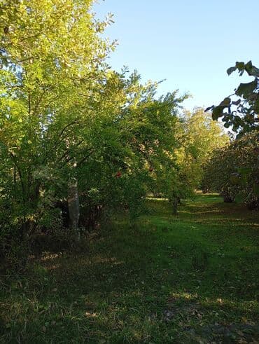 fatmayı torpaq: Kənd təsərrüfatı — 8