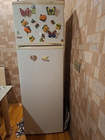 airpods satisi: İkiqapılı soyuducu – üstdə dondurucu, altda əsas kamera. Klassik ağ — 4