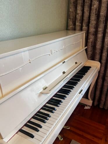 фортепиано ronisch: Piano, Rönisch, Akustik — 2