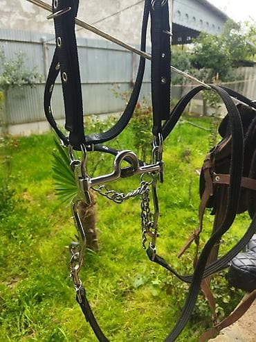 heyvan yemləri: Tam dəst at avadanlığı çox az işlənmiş qiymətdə endirim olacaq — 5