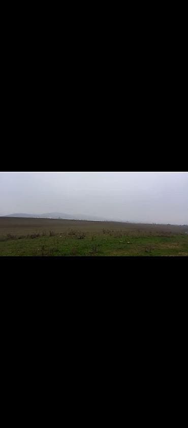 20 ci sahe: 10 sot, Tikinti, Kupça (Çıxarış) — 1