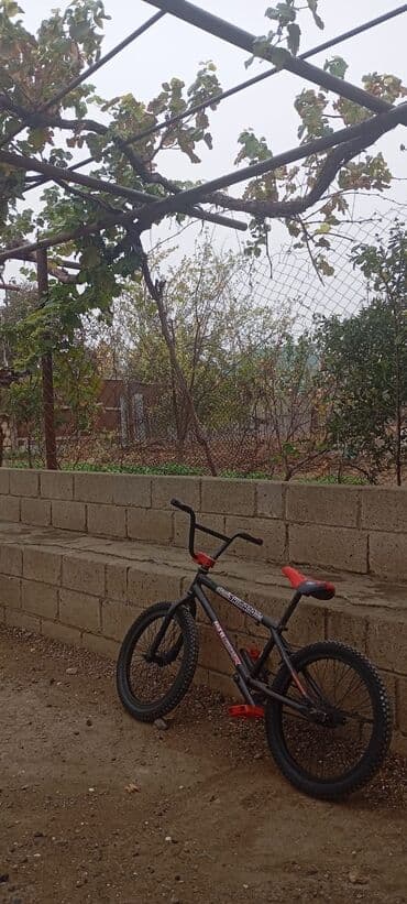 kökəlmək üçün protein: İki təkərli Uşaq velosipedi 20", sürətlərin sayı: 1 — 1