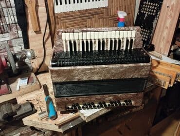 qarmon qutusu: Гармонь, Акустический, Новый, Самовывоз — 4