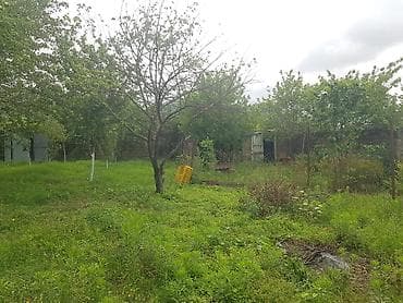 mingecevir torpaq: 6 sot, Tikinti, Mülkiyyətçi, Kupça (Çıxarış) — 3