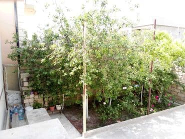 nərimanov həyət evləri: 3 otaqlı, 110 kv. m, Kredit yoxdur, Təmirsiz — 3
