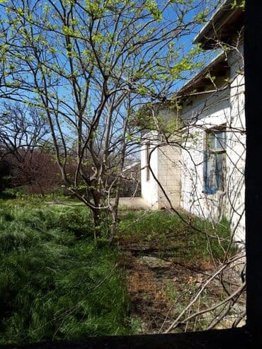 lacın ev: Digah 4 otaqlı, 320 kv. m, Təmirsiz — 11