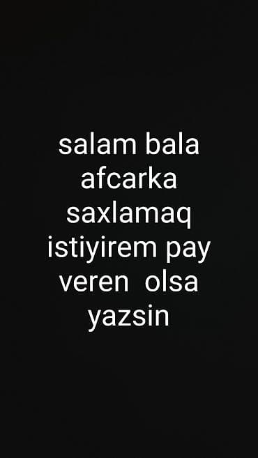 Xidmət: Bala afçarka (Alman çoban iti) saxlanması üzrə könüllü öhdəlik — 1