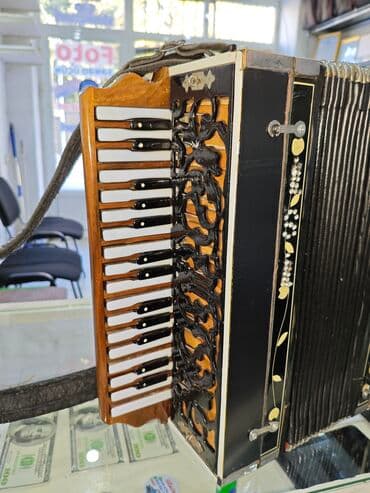 skripka 4 4: Akustik Akkordeon — 1