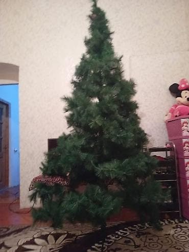 Əməkdaş axtarışı (vakansiyalar): Sabirabada yolks satlır 2metire yarım 90azın — 1