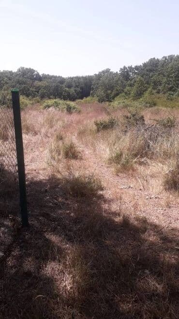 digah torpaq: 25 sot, Kənd təsərrüfatı, Makler, Kupça (Çıxarış) — 2