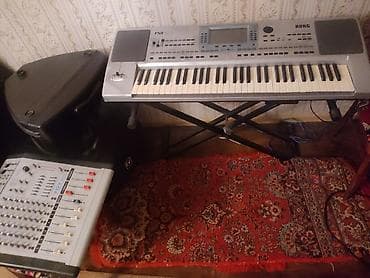 Ovçuluq və balıqçılıq: Sintezator, Korg, İşlənmiş, Ünvandan götürmə — 1