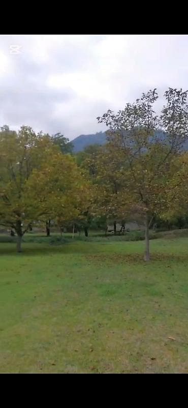 quba a frame evler: Tikinti — 7