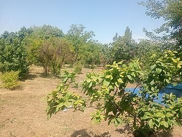 turkanda torpaq satılır: 10 sot, Tikinti, Mülkiyyətçi — 6