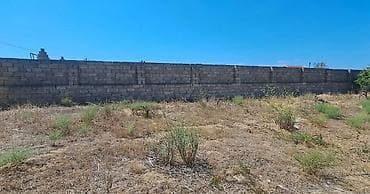 mastaga ev: Kupça (Çıxarış) — 2
